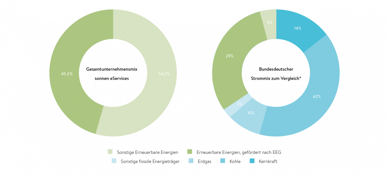 Stromkennzeichnung 2017